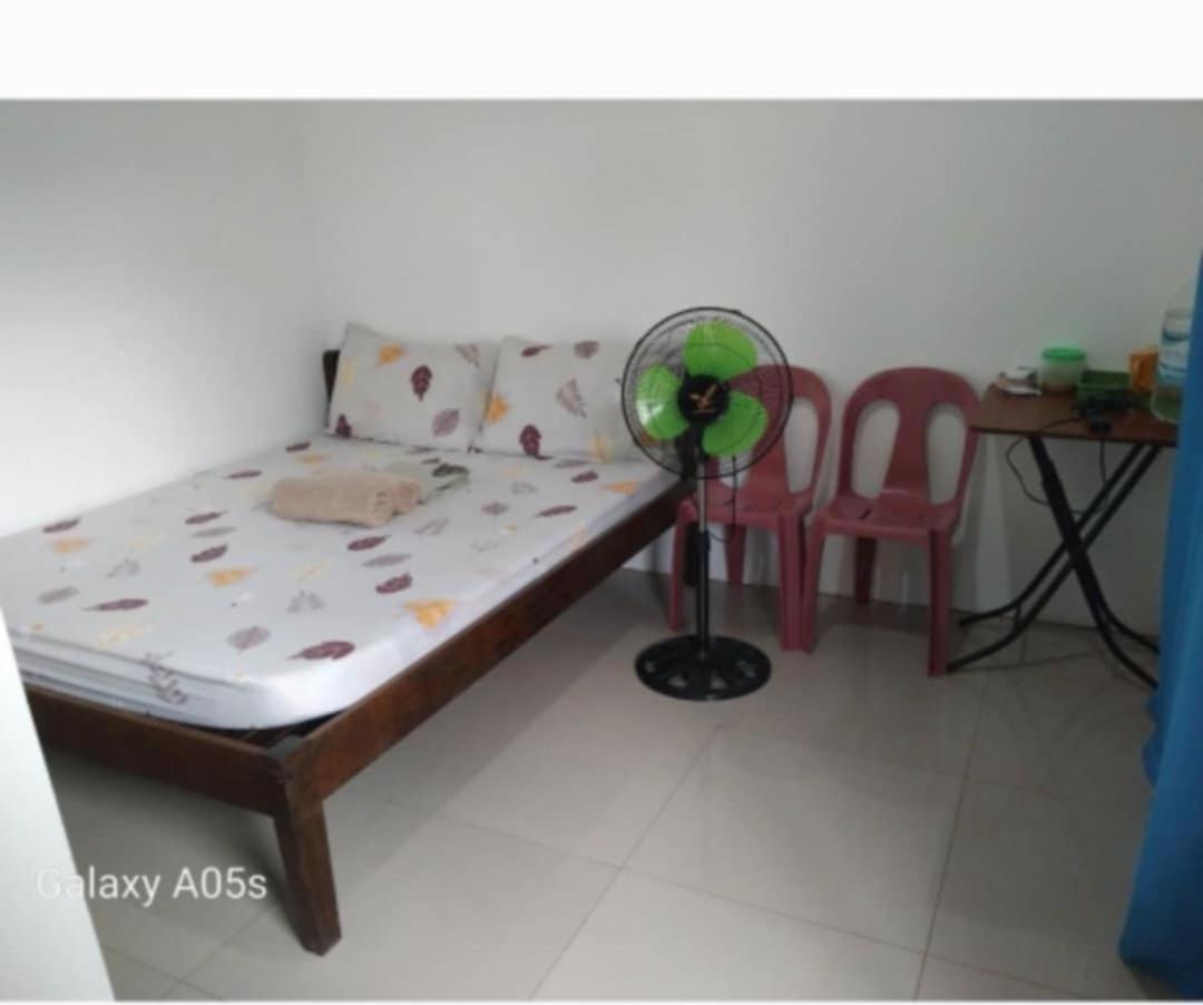 Francis Home Stay Port Barton Bonifacio Street San Vicente  Εξωτερικό φωτογραφία
